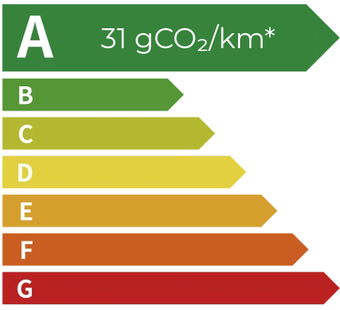 Denza D9 DM-i Energy Level Label