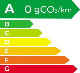 Denza EV Energy Level Label