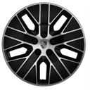 type1